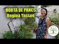 Horta de Pancs Mais Saúde e Qualidade de Vida com Regina Yassoe