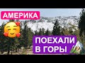 ПОЕЗДКА В ГОРЫ В АМЕРИКЕ! MOUNTAIN CHARLESTON В ЛАС-ВЕГАСЕ, НЕВАДА, США!