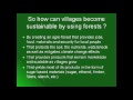 Sustainability Starts at the Village Level:  Willie Smits at TEDxMidwest