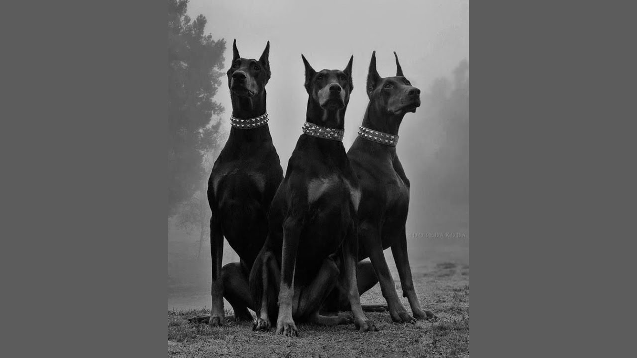 "DIRTY NUMBERS" FUTURE TYPE BEAT | HARD TYPE BEAT | INSTRUMENTAL TYPE BEAT 2026