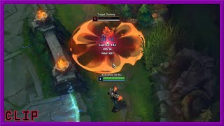 Practicing The Brand Combo - Q + Flash + E + W