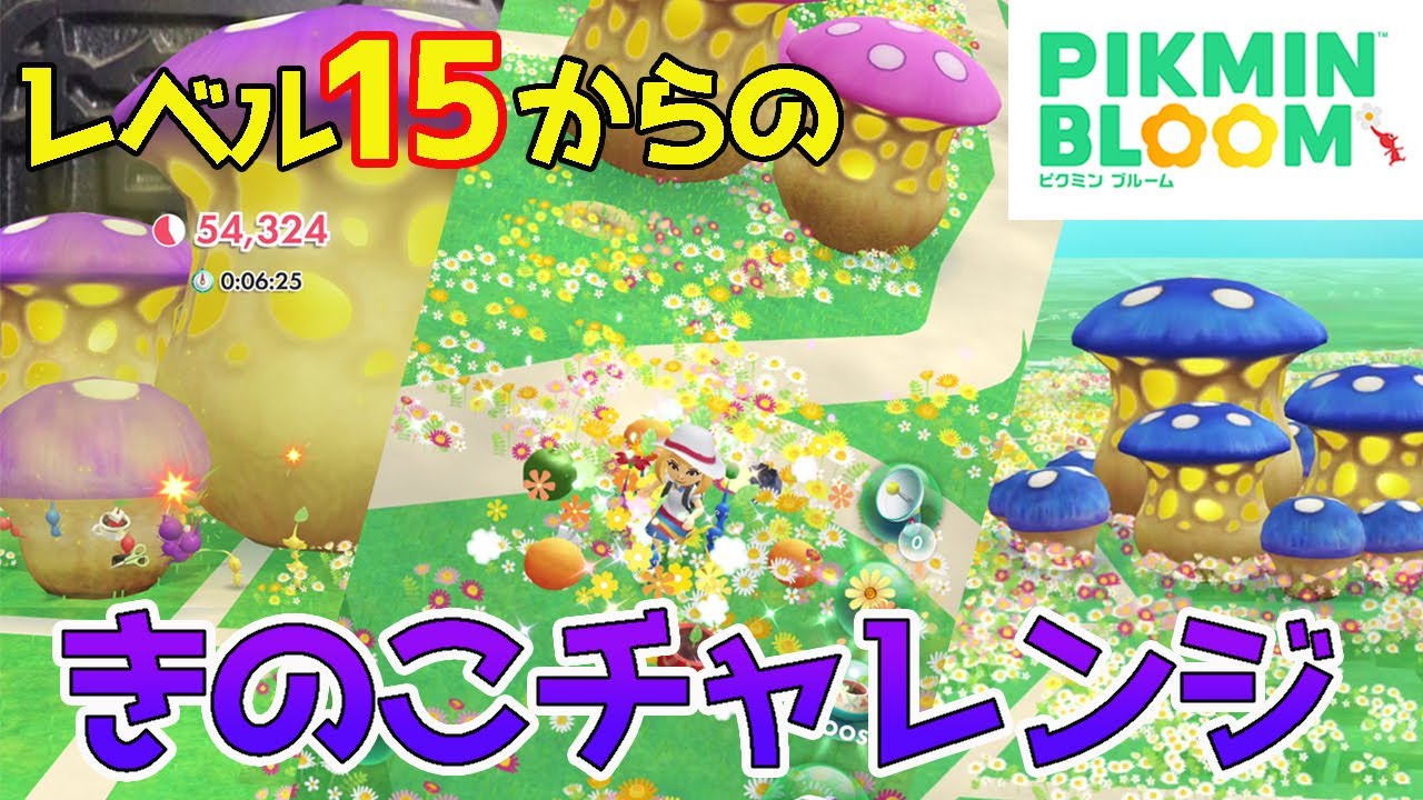 ピクミンブルーム レベル15になったらチャレンジにチャレンジ 参加の仕方やピクミンの選び方を説明 Pikmin Bloom Youtube