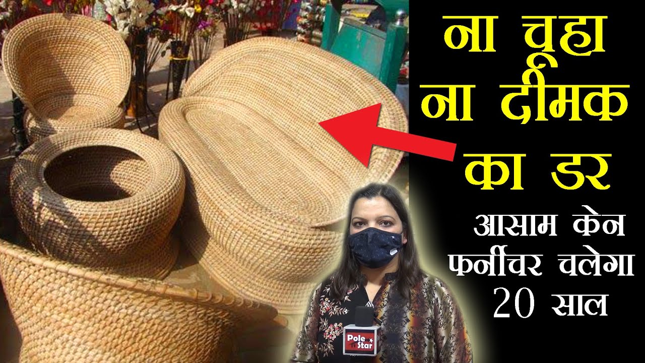 Assam Cane Furniture ना चूहा ना दीमक का डर, चलेगा 20 साल से ज्यादा
