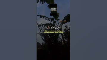 #قران_كريم #اكسبلور #لايك #سورة لقمان