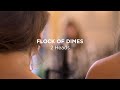 Flock of Dimes | 2 Heads