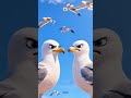 Seagull Homebuyers