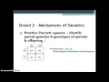 Biology EOC Review Quiz