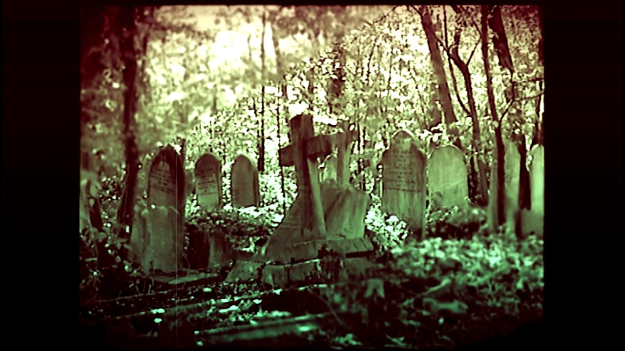 Abney Park Cemetery, London
