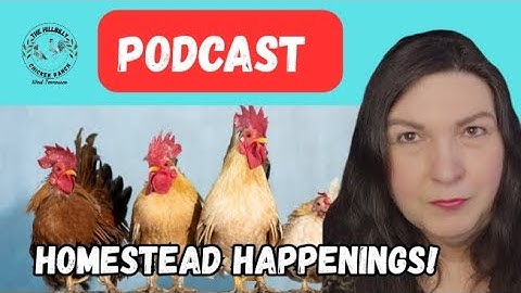 Unlocking Gratitude: Traditions You need to Start This Thanksgiving #homesteadhappeningpodcast