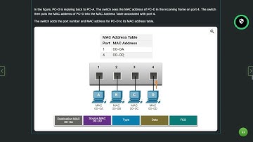🌐🔗 The magic of networking: How switches create their MAC maps