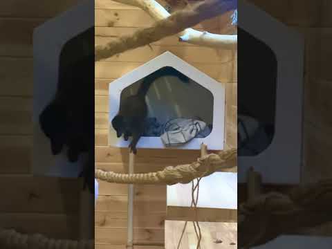 Приятное общение!