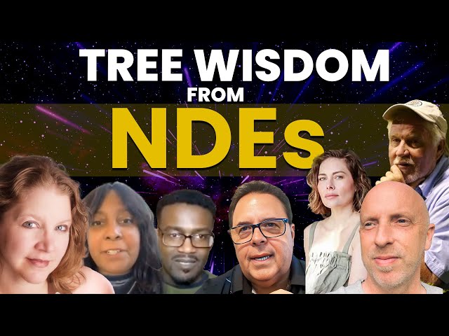Incredible Tree Insights from Near Death Experiences !