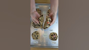 Cookie Testing - what oven temperature can do to your cookies #cookies #bigcookies #cookiemonster