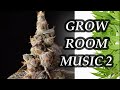 Music for cannabis grow 2  plant growth music 8hr grow room music