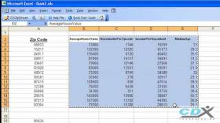 Demographic Data in Excel