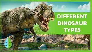 TYPES of DINOSAURS 🦕 How Many Species Were There?