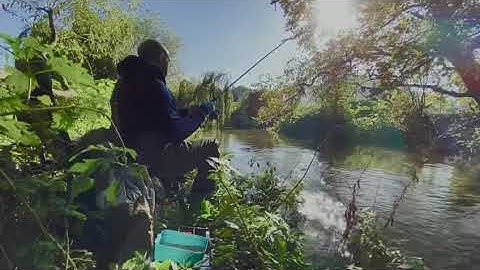 Fishing for roach on the river Bourne stick float trotting on stream