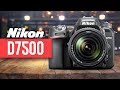 Nikon D7500 Review - Watch Before You Buy in 2020