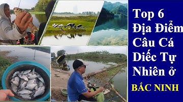 Top 5 điểm câu cá diếc tự nhiên tại Bắc Ninh