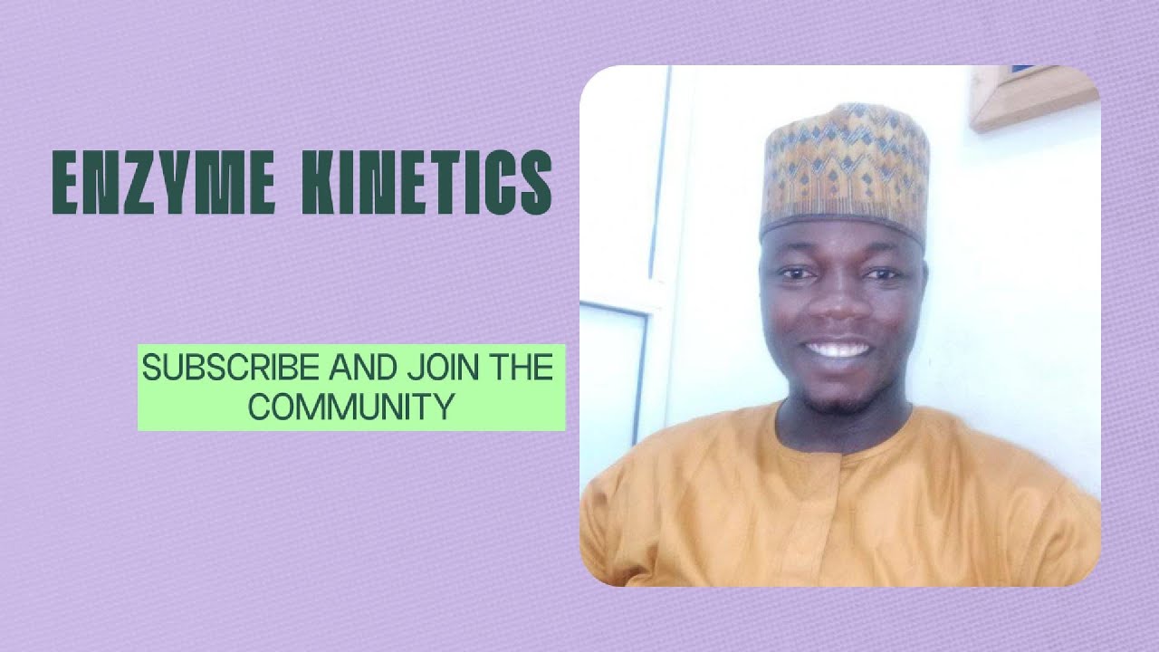 Enzyme Kinetics | Michaelis Menten Equation | Lineweaver Bulk plot