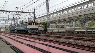 EF210-345 新製甲種輸送(EF65 2067牽引)