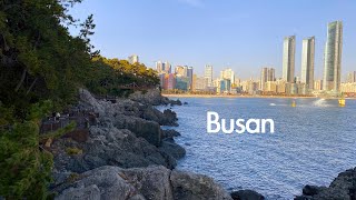 Korea - Walking On Haeundae Dongbaekseom Island Busan - 4K Hdr