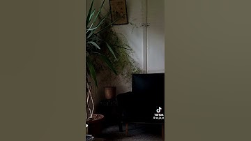 #قرآن القارئ عبدالله الموسئ(سورة النور)ولله ملك السموات والارض والي الله المصير #دعاء_مستجاب