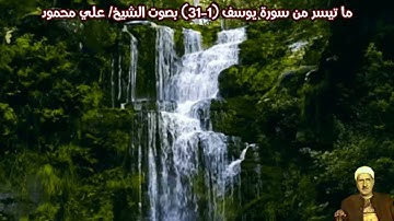 ما تيسر من سورة يوسف (1-31) بصوت الشيخ/ علي محمود