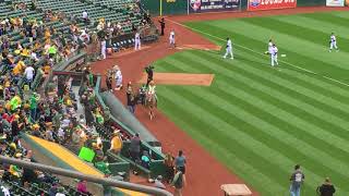 Meet Writer Jeff Acosta: Charlie the Mule of the Oakland Athletics