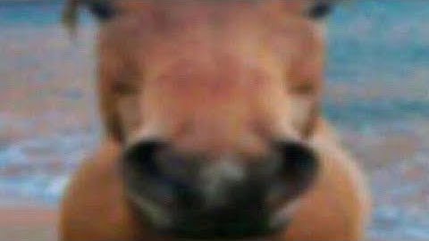 The cure to male loneliness