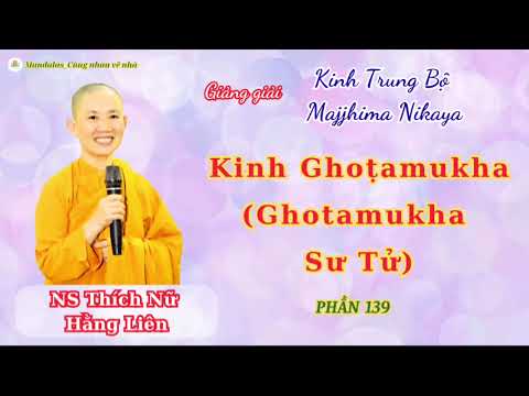 Phần 139 Kinh số 94- Kinh Ghoṭamukha - NS Thích Nữ Hằng Liên