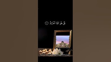 #سورة_الإخلاص #القران_راحة_نفسية🎧 #اكتب_شي_تؤجر_عليه🤍 #لايك