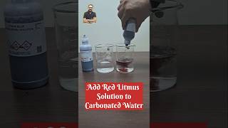 Litmus Solution Test Carbonated Water Experiment Acidbase Indicator