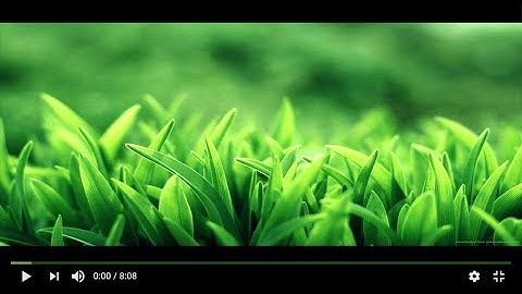 YouTube HTML5 Player Seek Bar not Hiding in Full Screen [Proper Fix]