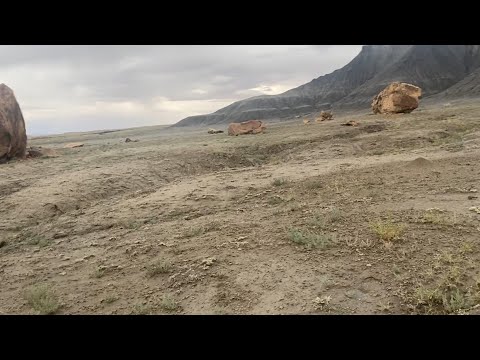 ექსპერიმენტმა.. არ გაგვიმართლა..