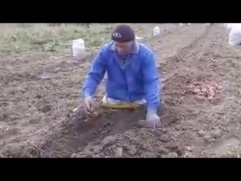 Video: Care este un exemplu de muncă?