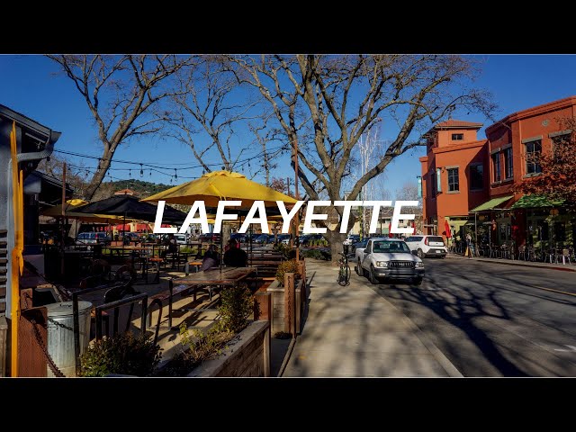 Lafayette - Year Of The Ca