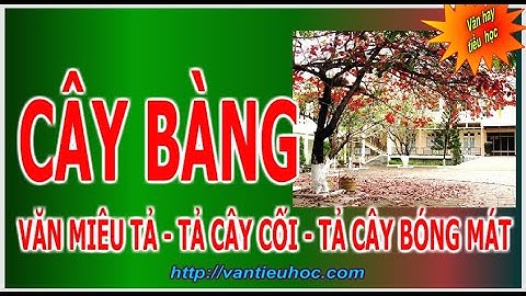 Tả cây bóng mát | Tả cây bàng trường em @gvtieuhoc