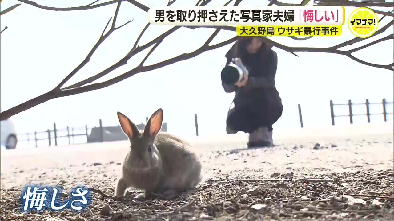 うさぎだいすき He said something incoherent like, 'I did it because I wanted to