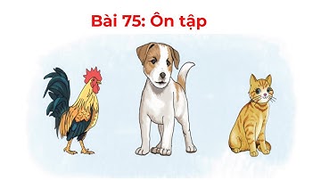 Bài 75: Ôn tập /Tiếng Việt 1 - Cánh Diều/ Cô Thương.