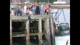 Millport Madness