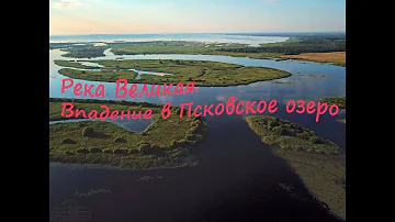 Река Великая, Псковская область. Аэросъемка устья. The Velikaya river, Pskov region