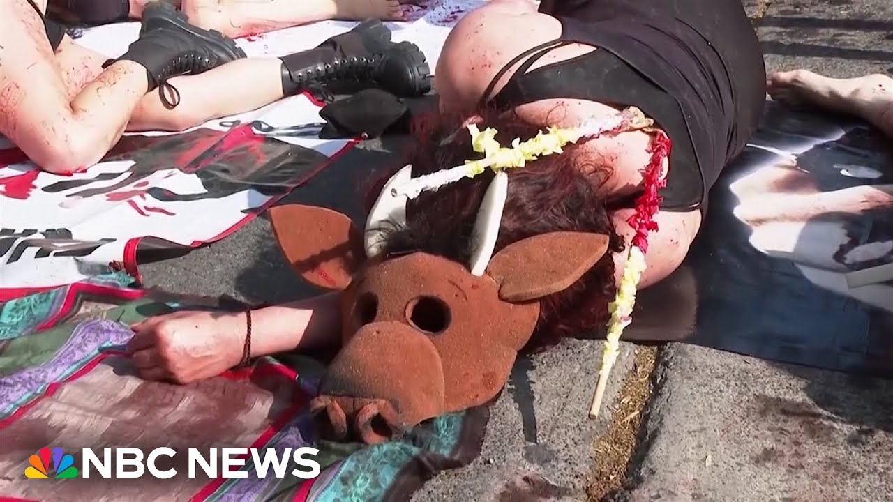 Protesters angered at resumption of bullfighting in Mexico City