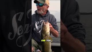 Al Lindner catches a dandy of a Northwoods Walleye, Check out the full video linked below #shorts
