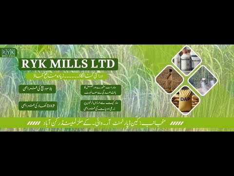 RYK Mills Ltd | Grow Variety Sugar Cane, Earn More Profit 2025 - YouTube