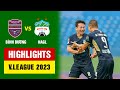 Binh Duong Gia Lai goals and highlights