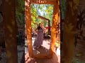 Сентябрь 2025