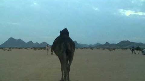 دحيم الحماد اذكار المساء 1431