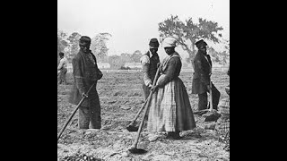 What's the REAL Story Behind Henrietta Wood's Lawsuit?