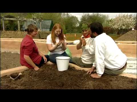 Biodynamic Gardening -- the tools and techniques to nurture your garden